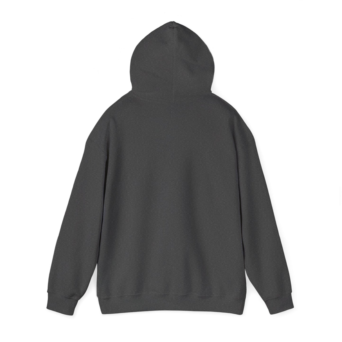 Iced & Hot Coffee Hooded Sweatshirt – Cozy Unisex Pullover for Coffee Lovers, Perfect Gift for Birthdays, Holidays, or Casual Outings