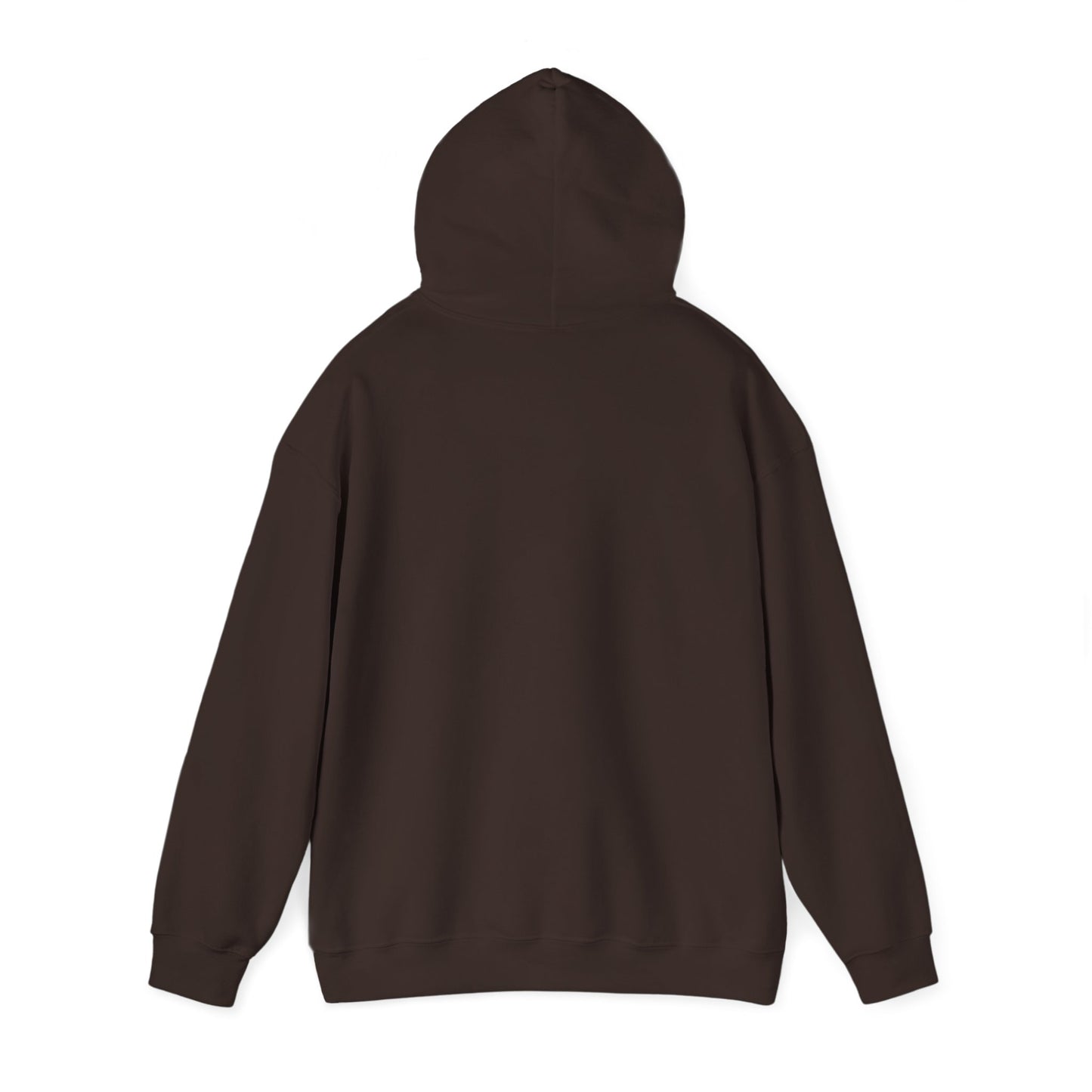 Iced & Hot Coffee Hooded Sweatshirt – Cozy Unisex Pullover for Coffee Lovers, Perfect Gift for Birthdays, Holidays, or Casual Outings