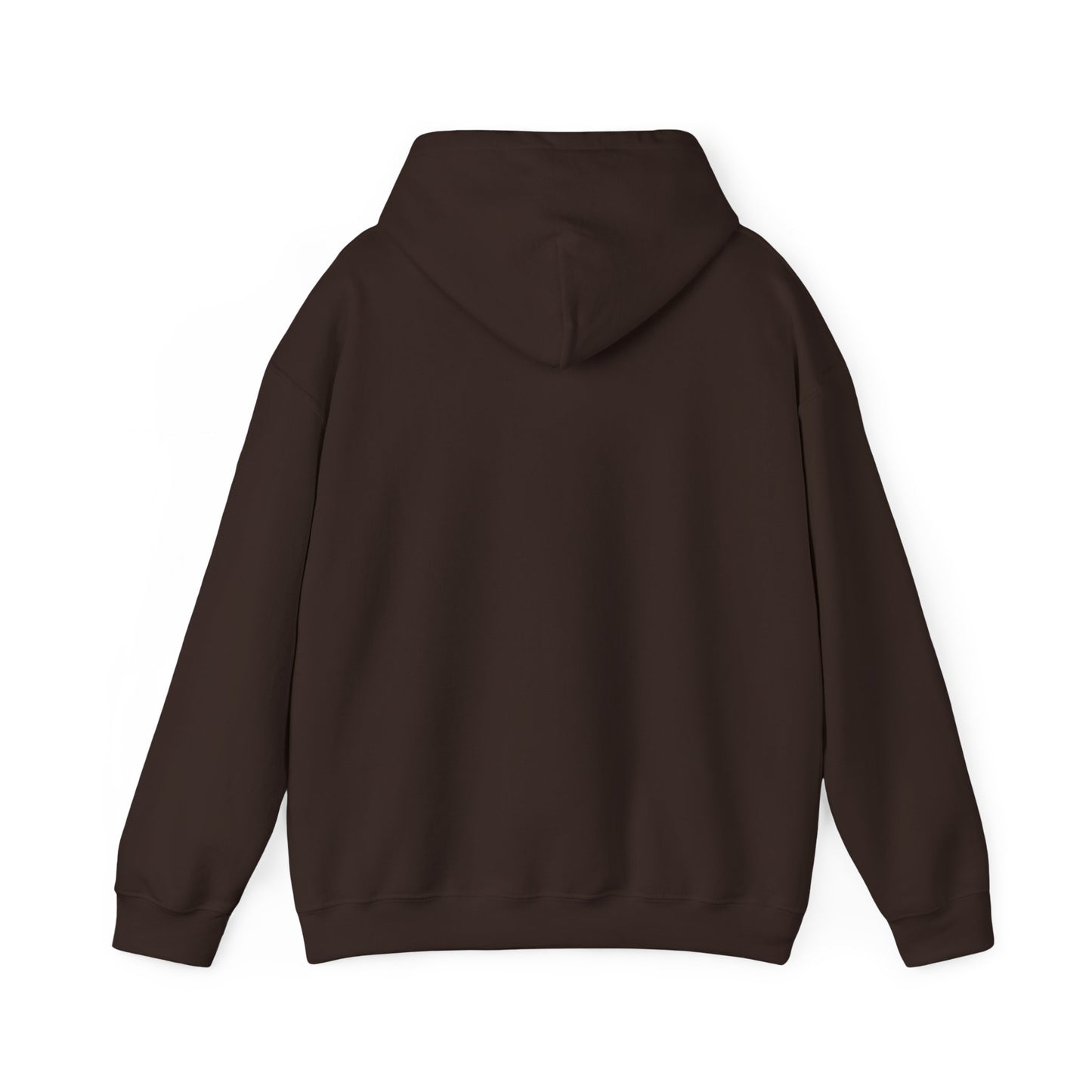 Iced & Hot Coffee Hooded Sweatshirt – Cozy Unisex Pullover for Coffee Lovers, Perfect Gift for Birthdays, Holidays, or Casual Outings
