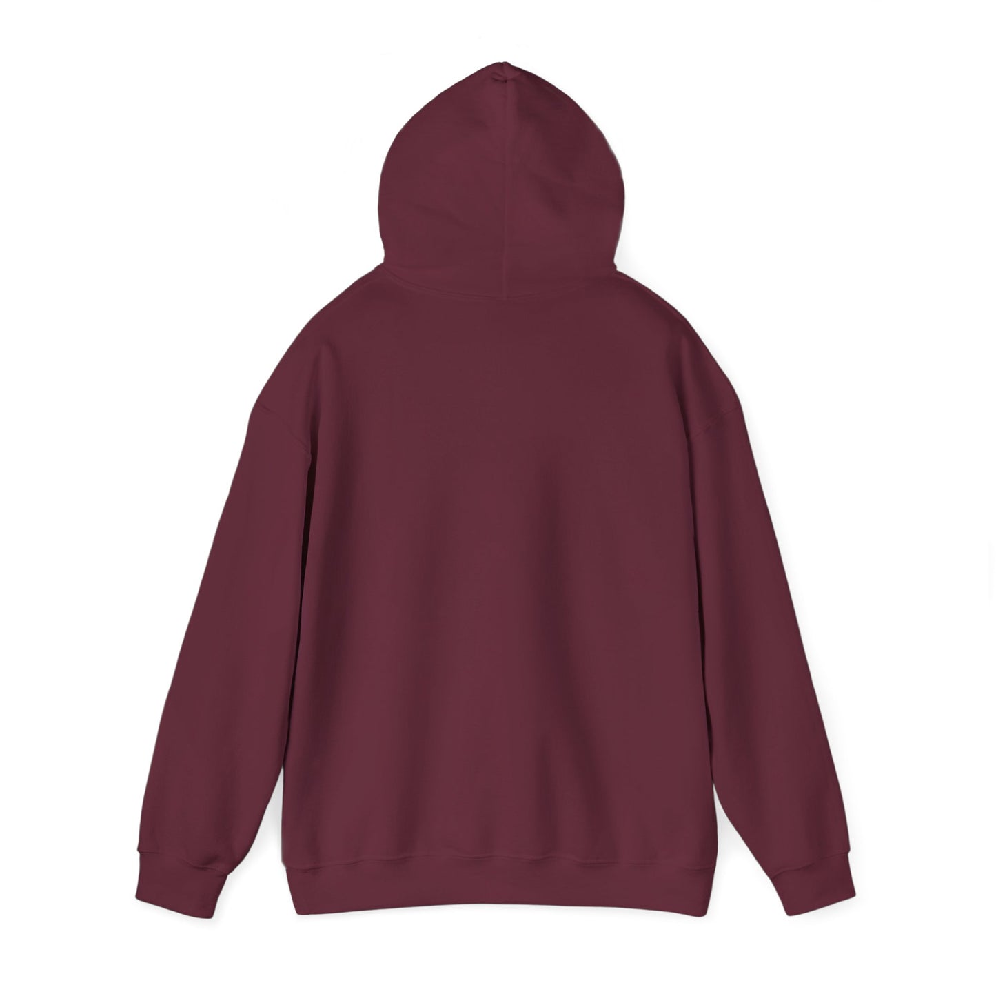 Iced & Hot Coffee Hooded Sweatshirt – Cozy Unisex Pullover for Coffee Lovers, Perfect Gift for Birthdays, Holidays, or Casual Outings
