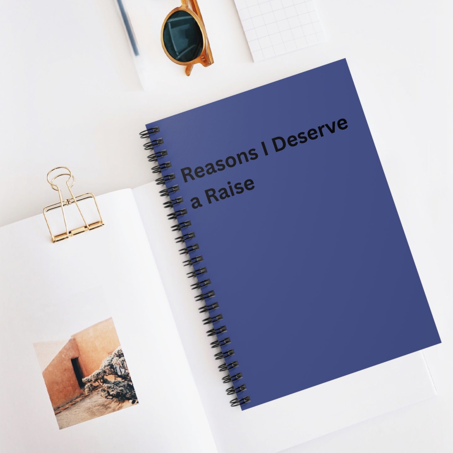 Reasons I Deserve a Raise Spiral Notebook — Office Humor, Work Journal, Co Worker Gift, Friend, Boss, Gag Gift