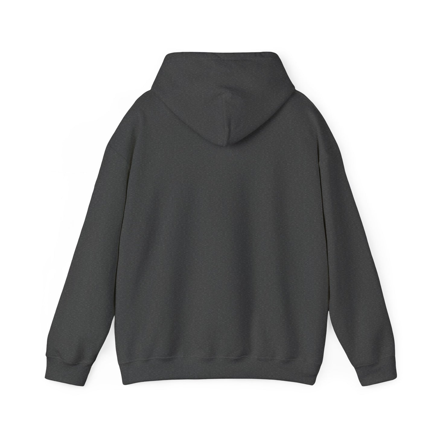 Iced & Hot Coffee Hooded Sweatshirt – Cozy Unisex Pullover for Coffee Lovers, Perfect Gift for Birthdays, Holidays, or Casual Outings