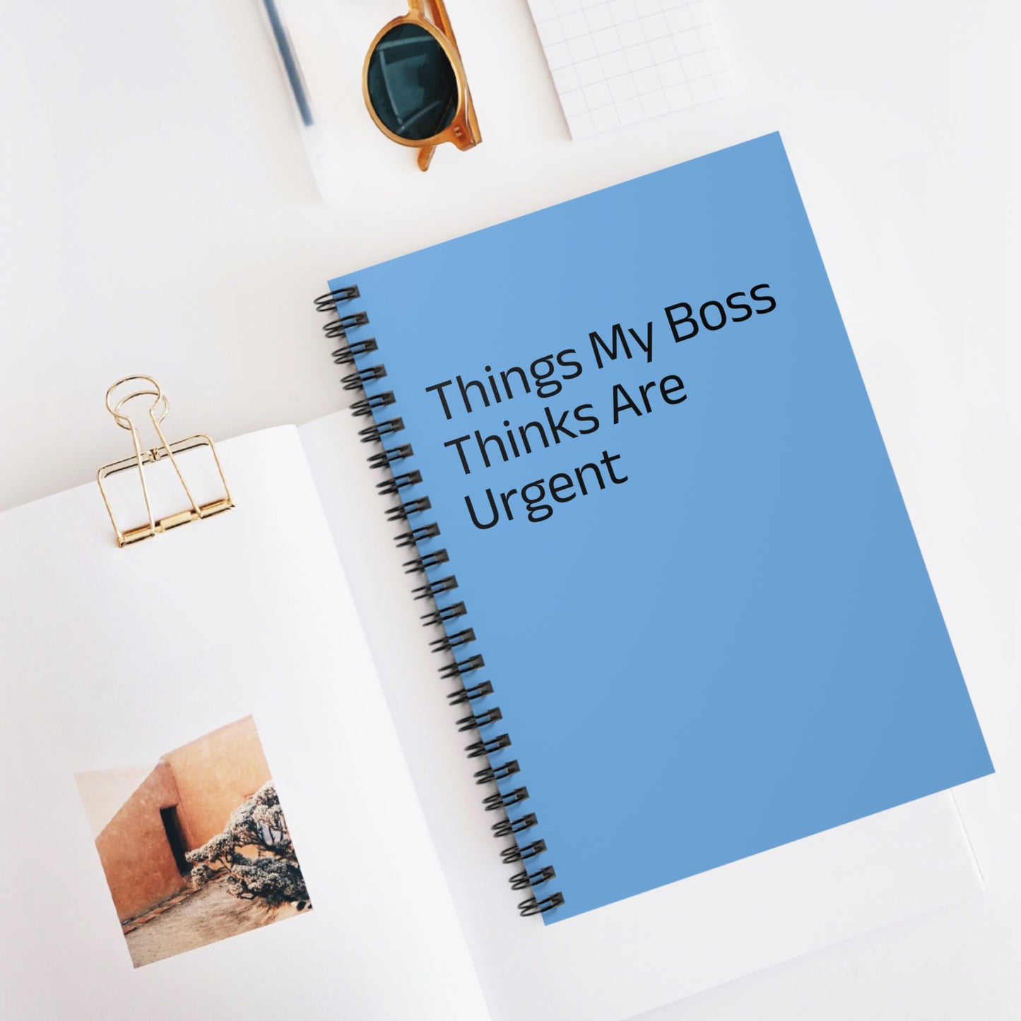 Boss Urgency Notebook - Perfect for Office, Gifts for Coworkers, Motivational Journal, Back to School, Funny Notepad