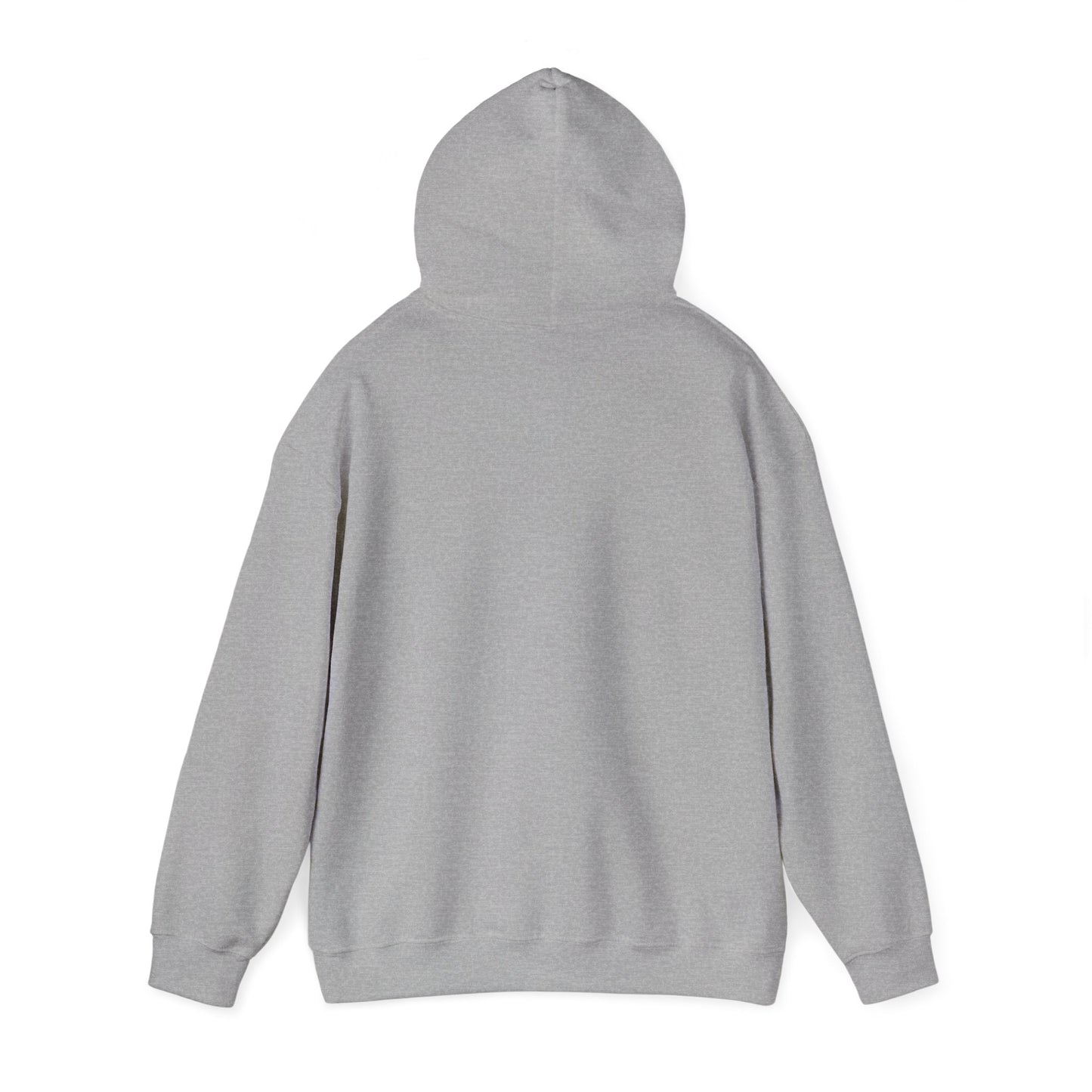 Iced & Hot Coffee Hooded Sweatshirt – Cozy Unisex Pullover for Coffee Lovers, Perfect Gift for Birthdays, Holidays, or Casual Outings