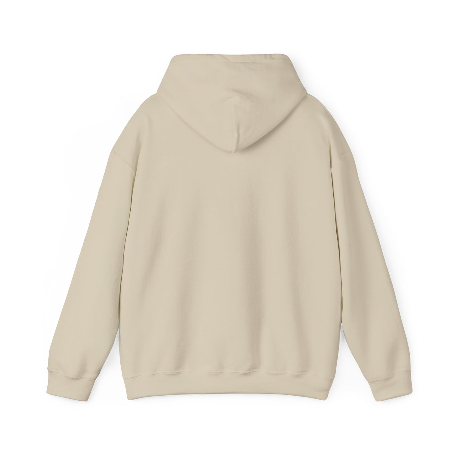 Iced & Hot Coffee Hooded Sweatshirt – Cozy Unisex Pullover for Coffee Lovers, Perfect Gift for Birthdays, Holidays, or Casual Outings