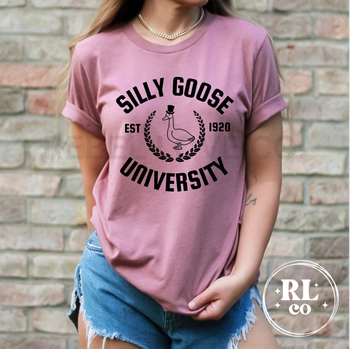 Silly Goose University Women's T Shirt
